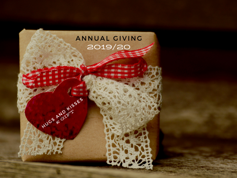ANNUAL GIVING