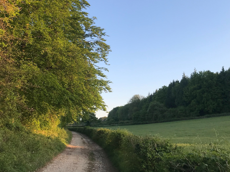 How are you spending your time?