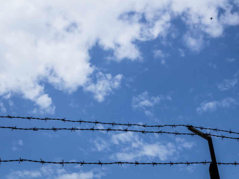 The grass is greener