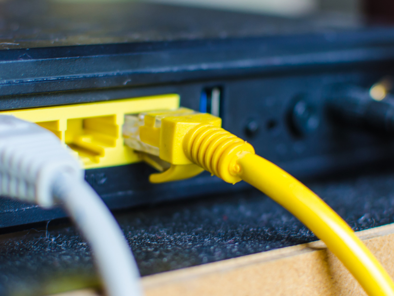 What is bias when you have an ology?