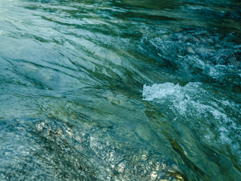 Do you know what you really want?