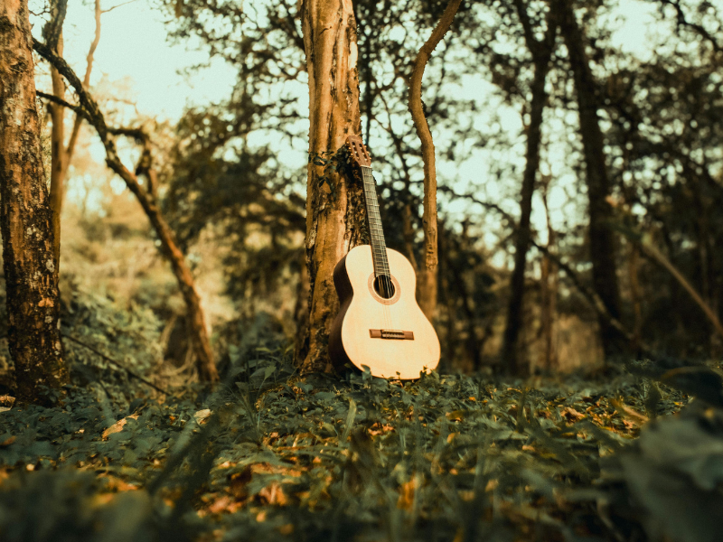 Are You Singing Your Song?