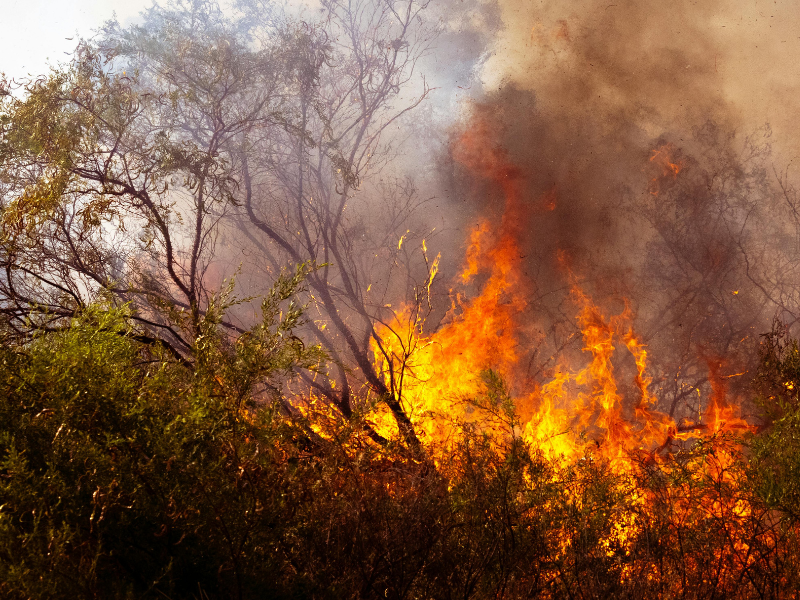Are Rising Temperatures Raising Prices?